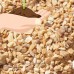 Miami Beach Pebbles, Inc Zen Gravel 1/16" - 1 lb, Color Choices for Miniature Garden, Fairy Garden   